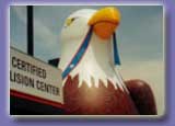 Advertising Inflatables - Bald Eagle - 25ft. cold-air inflatables for sale and rent.