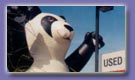 Panda advertising balloons - 25ft. Panda inflatable available for sale and rent.